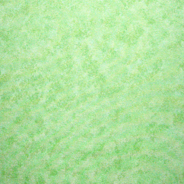 Light Green Cotton Fabric by Makower 2800/G45 from their Spraytime Collection